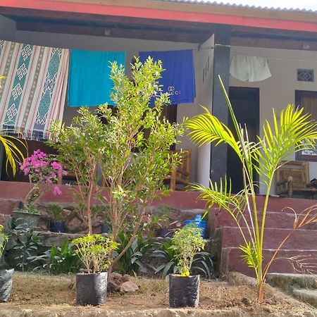 Palm Homestay Kuta Kuta  Exteriér fotografie