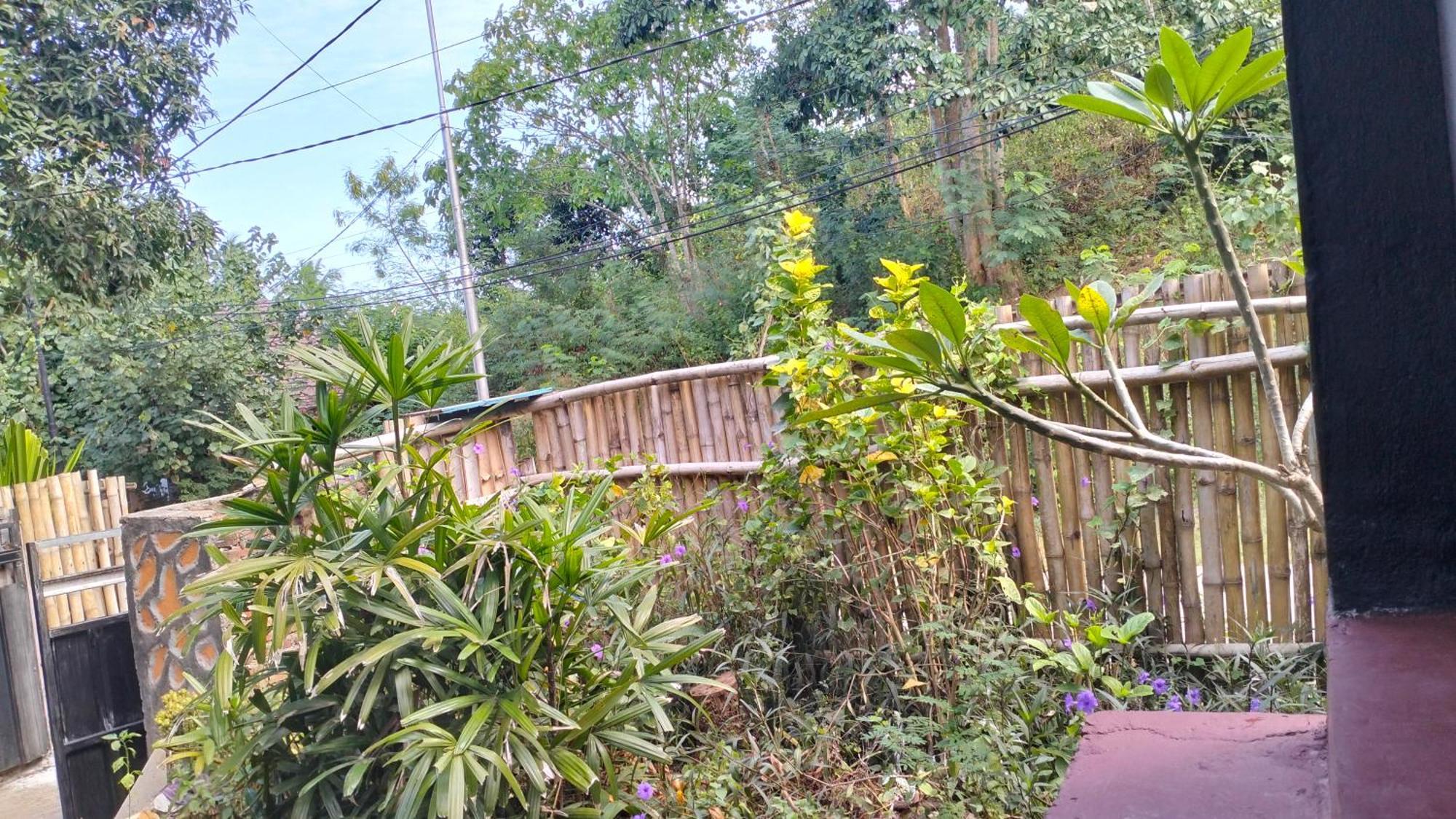Palm Homestay Kuta Kuta  Exteriér fotografie