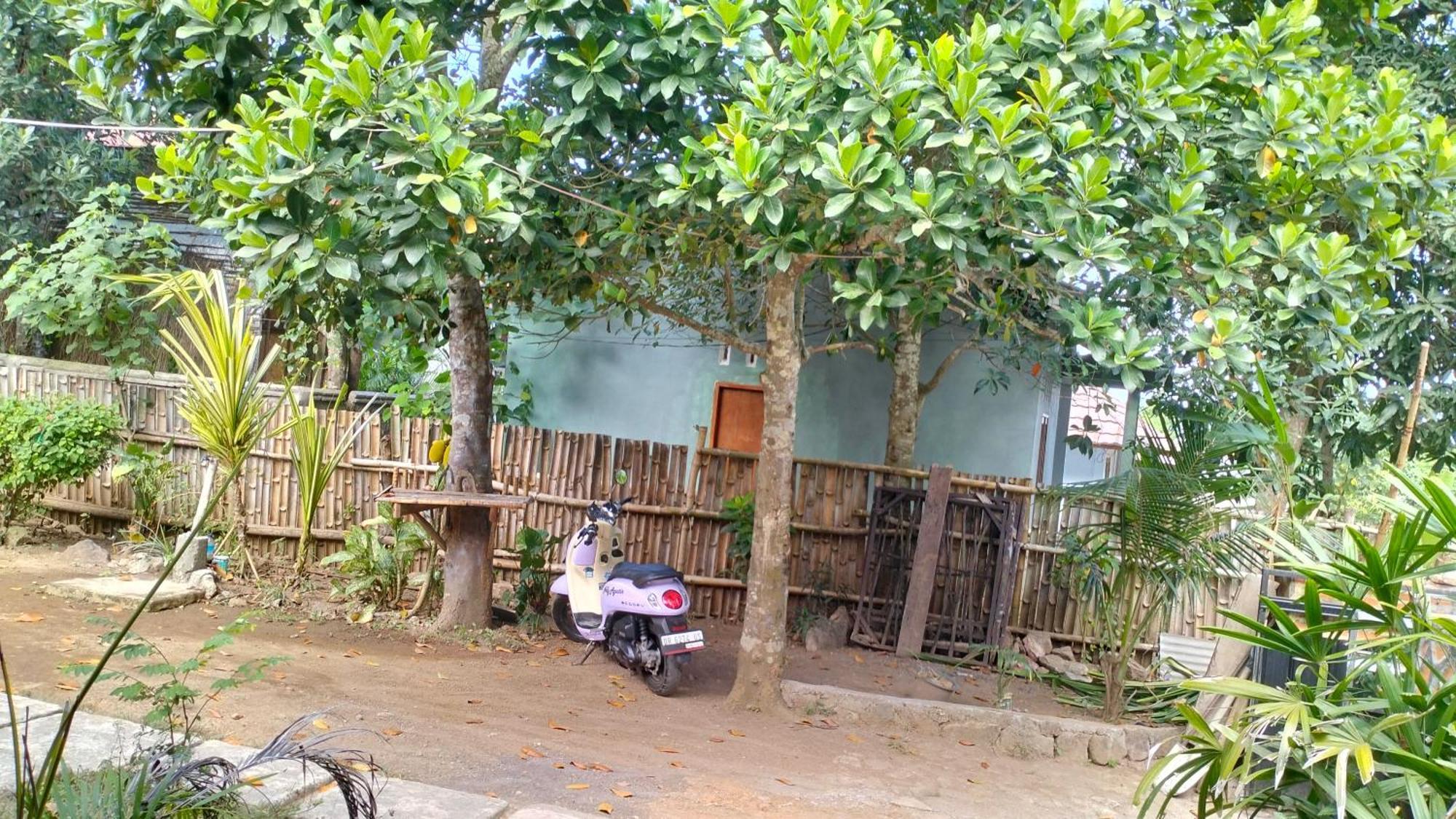 Palm Homestay Kuta Kuta  Exteriér fotografie
