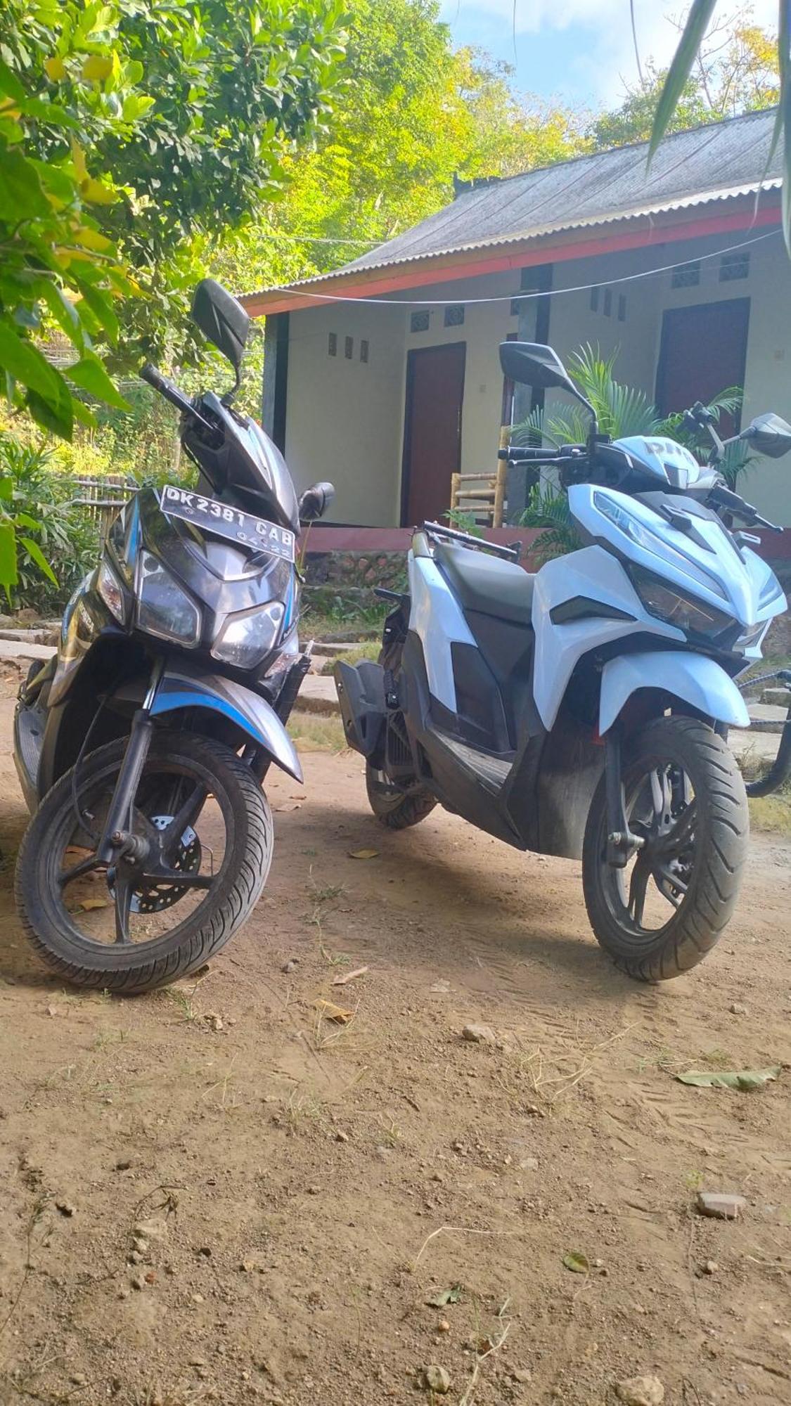 Palm Homestay Kuta Kuta  Exteriér fotografie